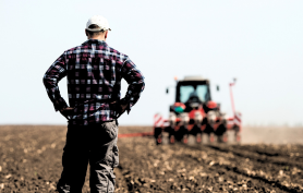 E-consulting Red de Asesores y Consultores