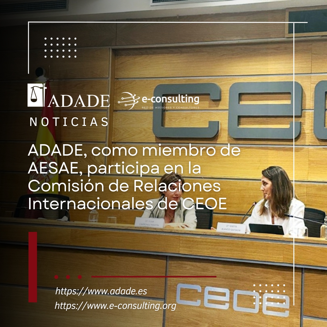 E-consulting Red de Asesores y Consultores