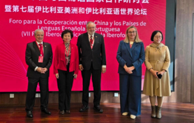 E-consulting Red de Asesores y Consultores