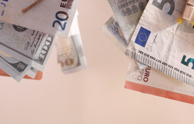 E-consulting Red de Asesores y Consultores